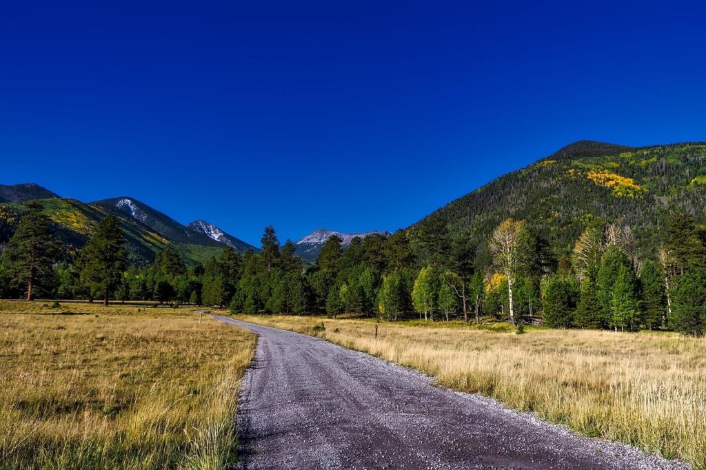 Metal Buildings Bellemont AZ